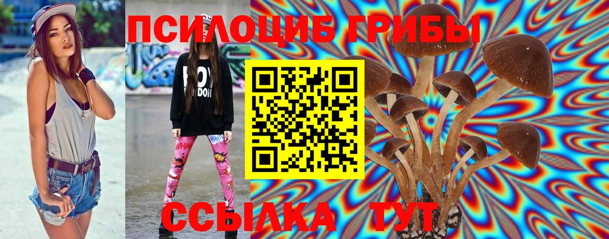 купить наркотик  Вход с VPN  Ростов Великий  Галлюциногенные грибы Psilocybe  Псилоцибиновые грибы мухоморы 